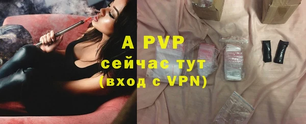 стафф Краснослободск