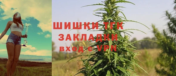 стафф Краснослободск